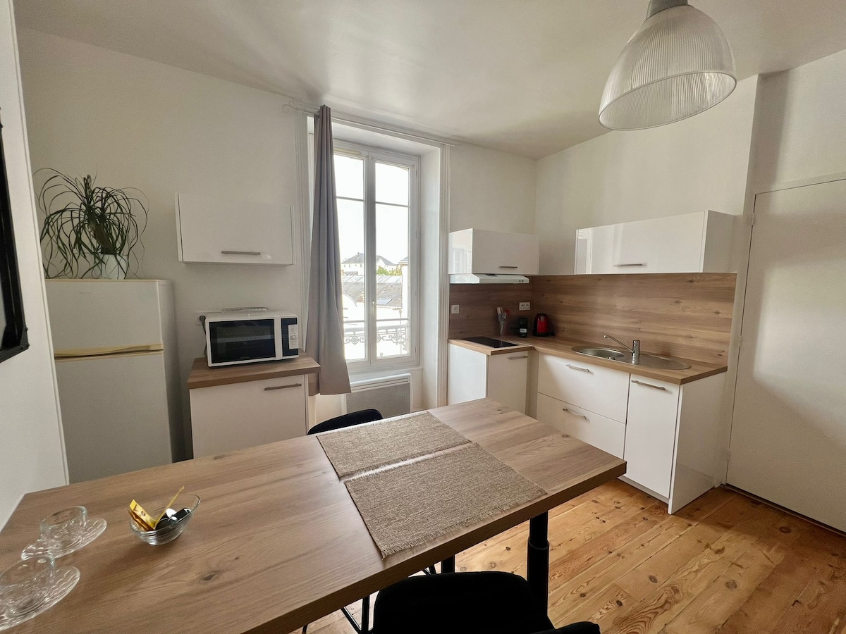 Appartement Hypercentre — Appartement 25m² à Laval, 2 personnes