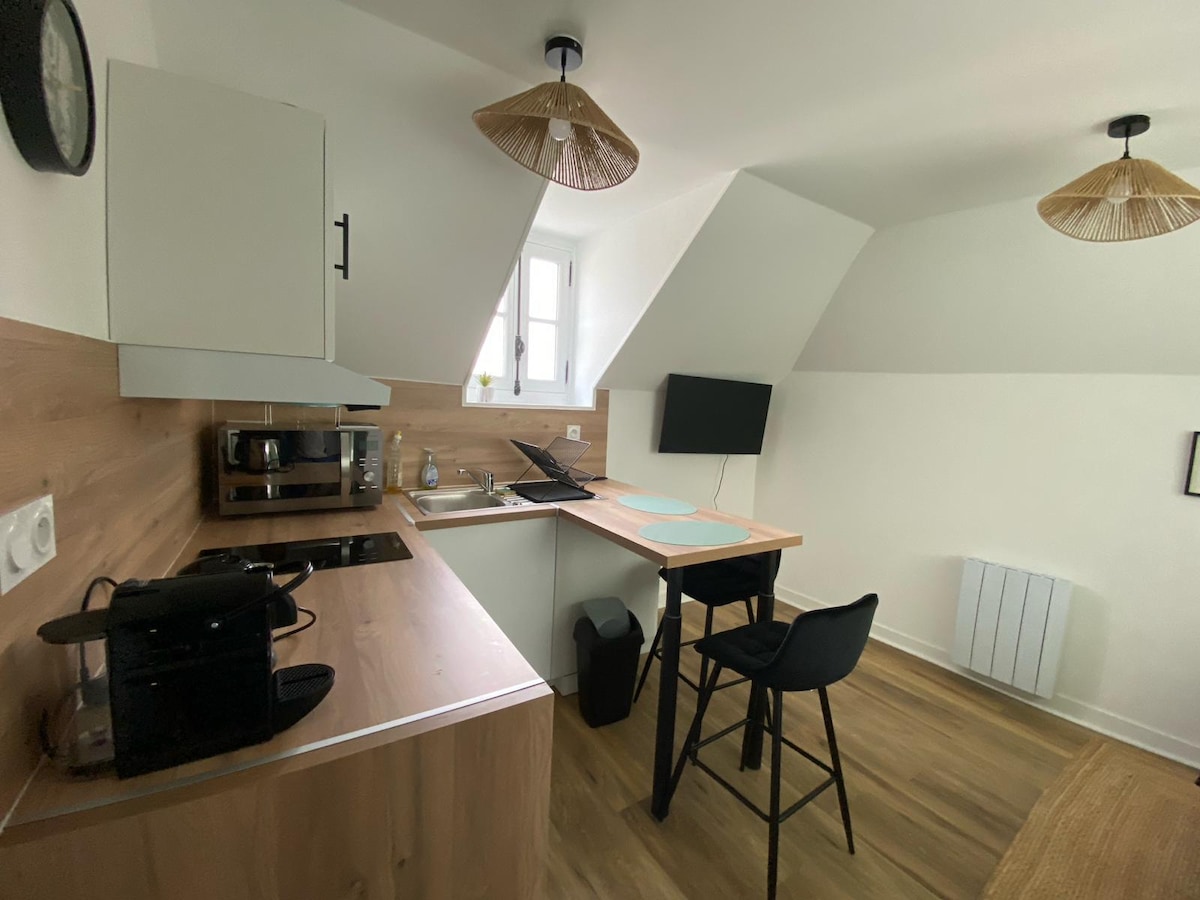 Cœur de Laval: Charmant 2 pièces — Cuisine équipée